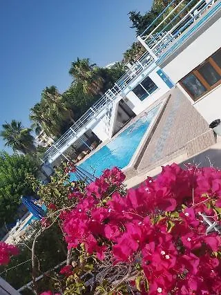 سيلج سايد